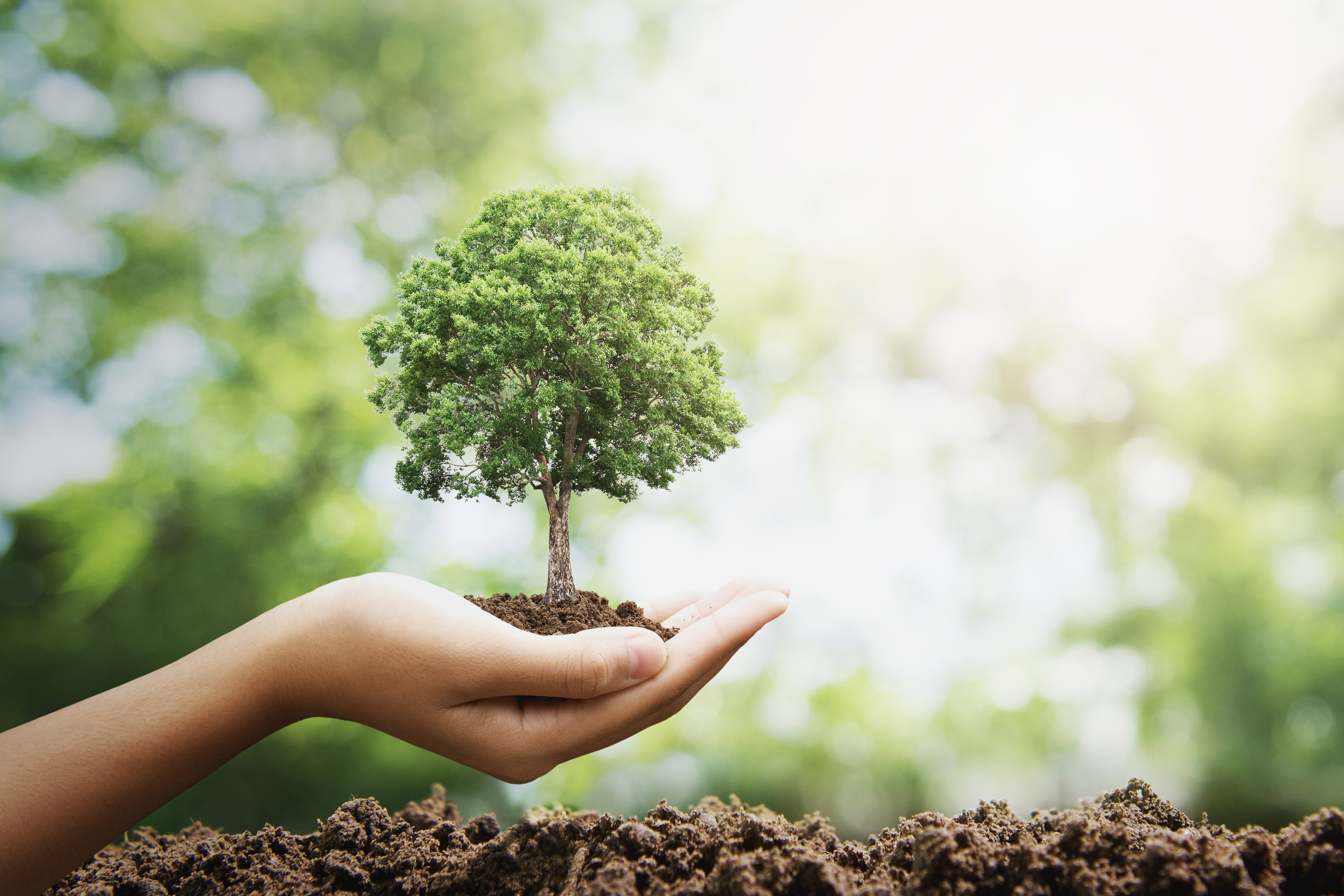 Wind Way Energy - Sustentabilidade